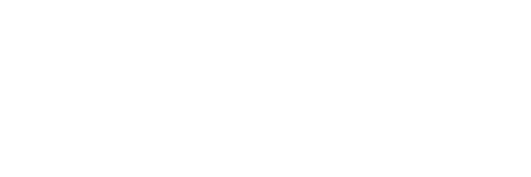 Leader in Cyber Security Solutions